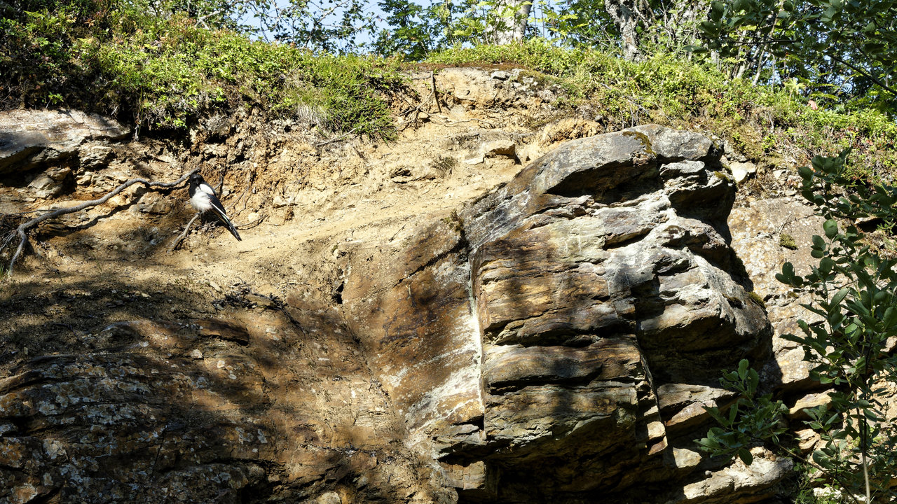 20230731 093448•Tromso•Troms og Finnmark•Norway